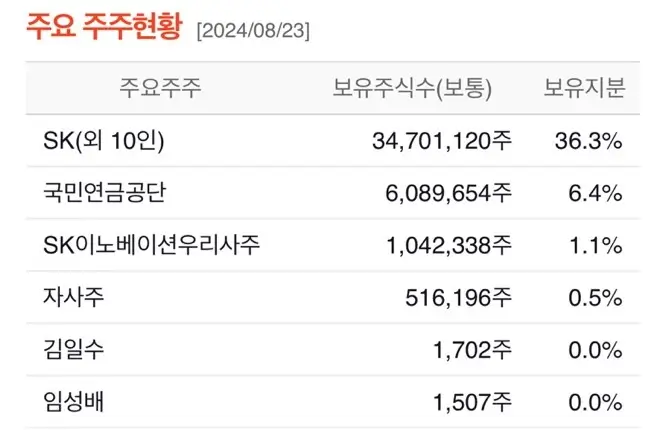 SK 이노베이션 주요 주주현황