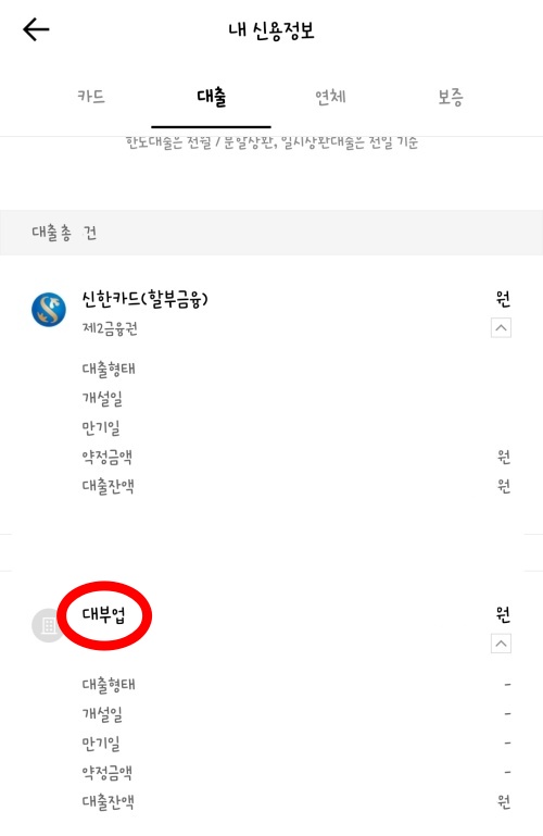 카카오뱅크 대출 잔액 조회 카드 한도 확인 어플 앱 신용 정보 점수 내역 변동 연체 보증 체크 이용 금액 일시불 할부 현금 서비스 원금 계좌