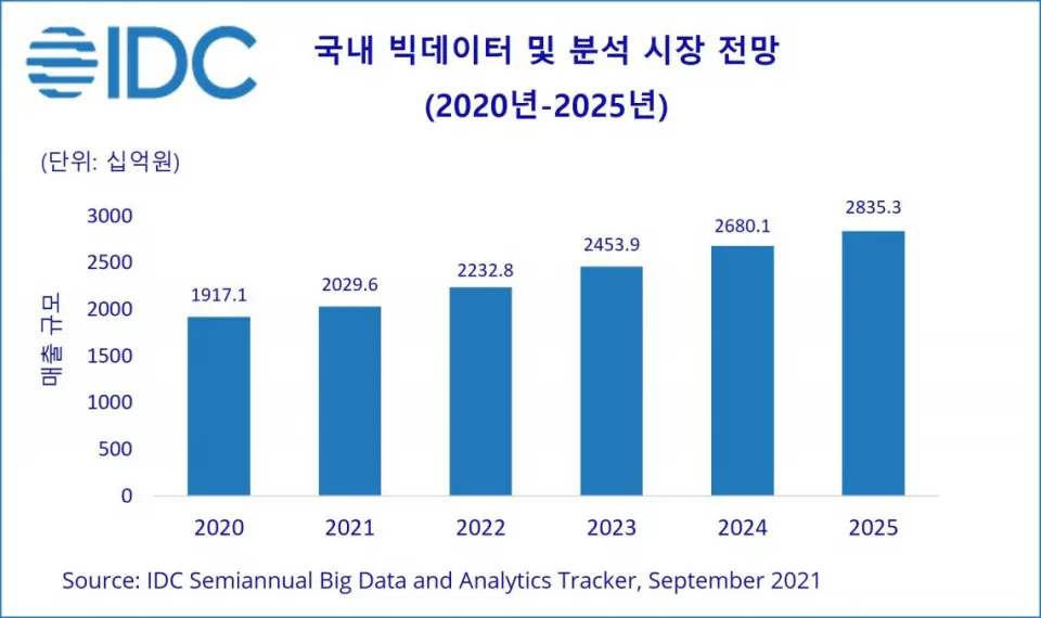 국내 빅데이터 분석 전망