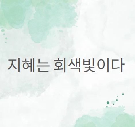  지혜는 회색빛이다_비트겐슈타인