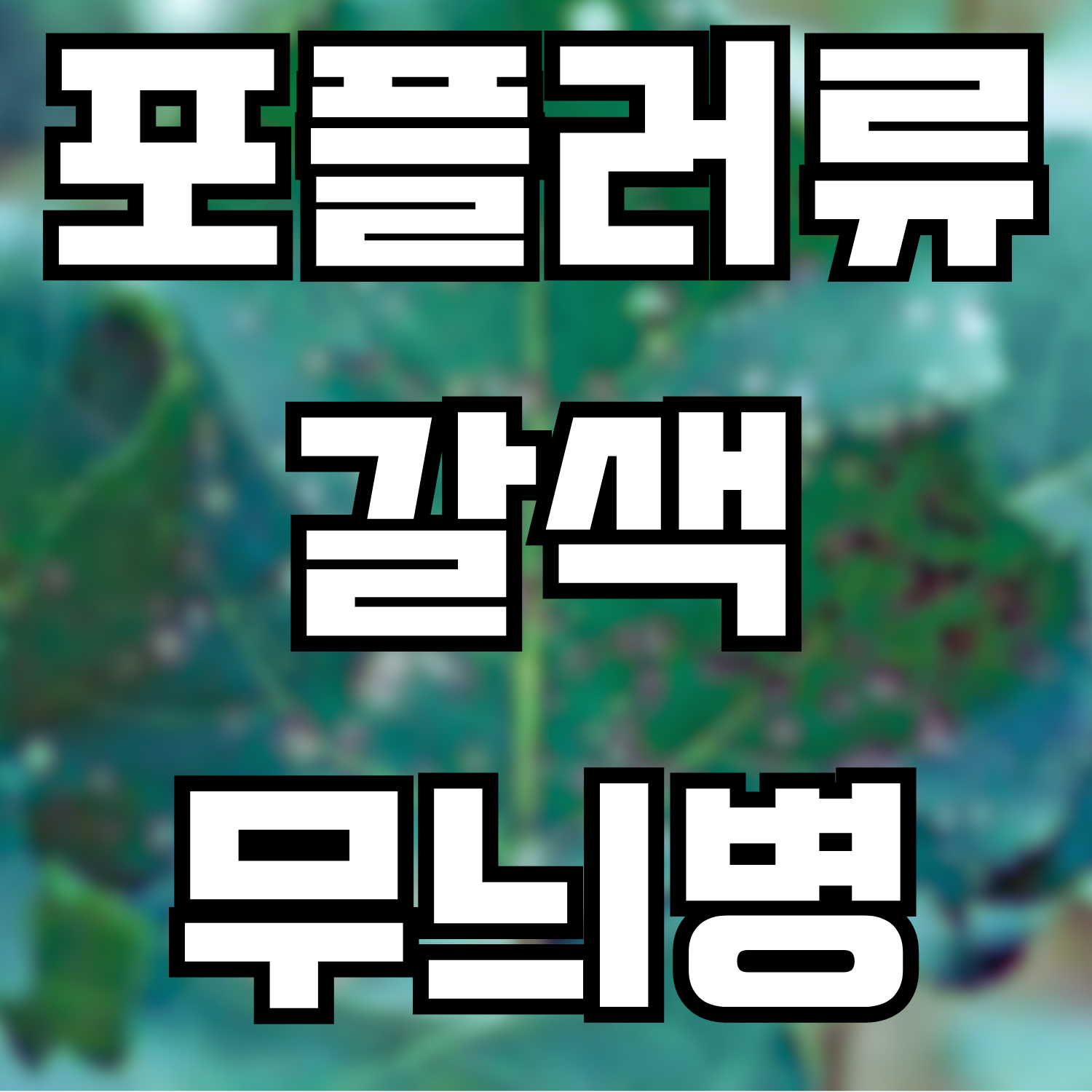  포플러류 갈색무늬병(갈반병)