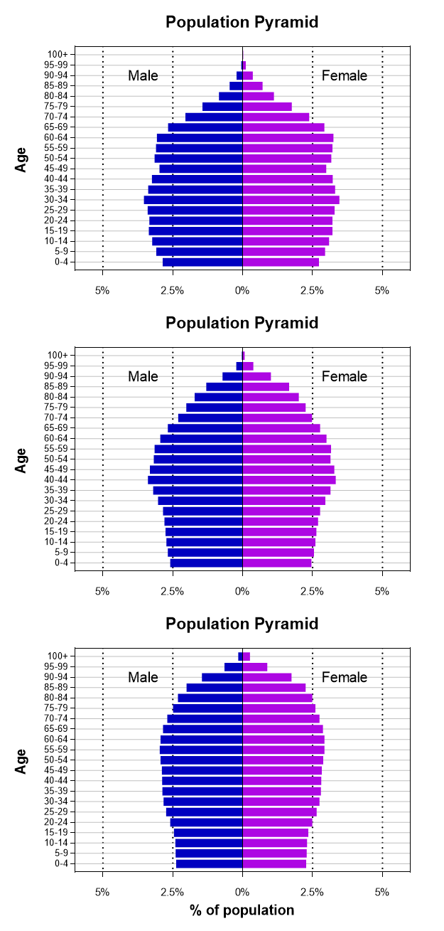 미국-인구-피라미드