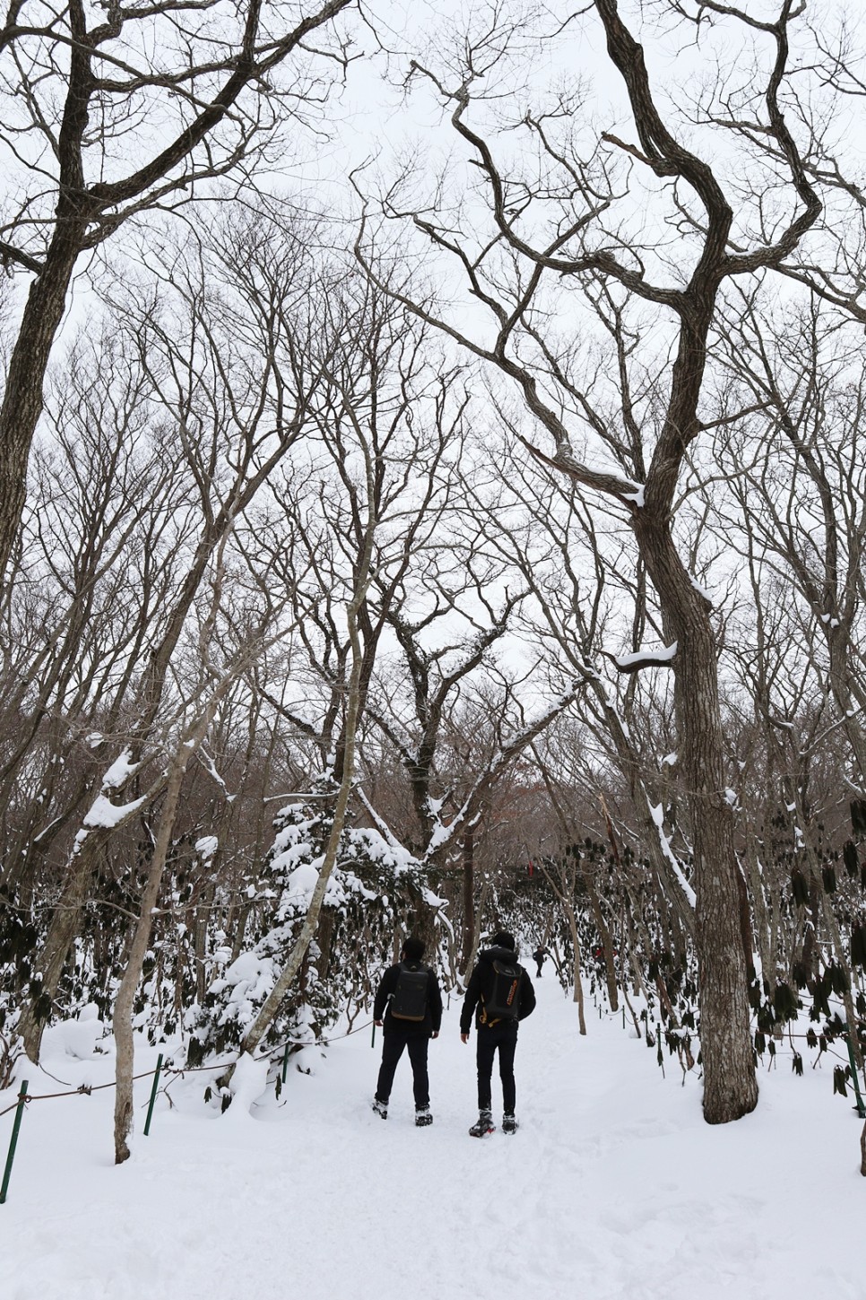 눈쌓인 겨울산 이미지 38