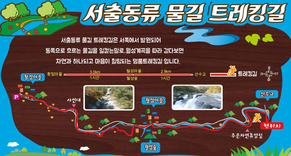 코스