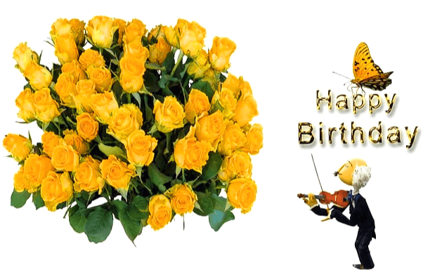 노란 장미 꽃다발이 한아름 있다. 오른쪽에는 노인이 바이얼린을 연주하고 있고 나비 한마리와 영어로 해피 버쓰데이라고 적혀있다.