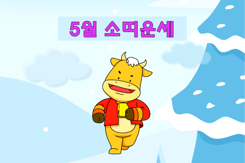 2025년_5월_띠별운세_소띠운세