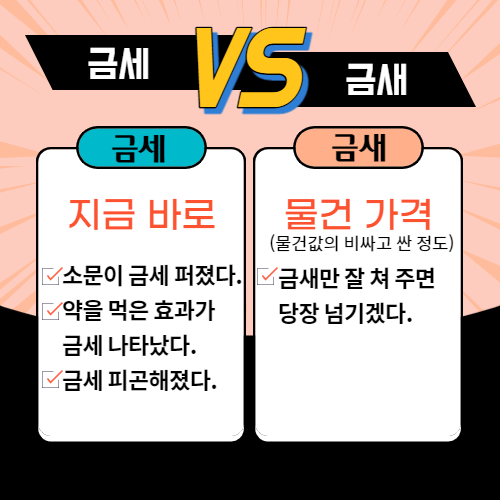 금세-금새-뜻-차이