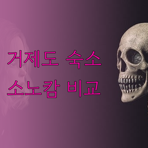 거제도 가족여행 숙소는 어디로? 소노