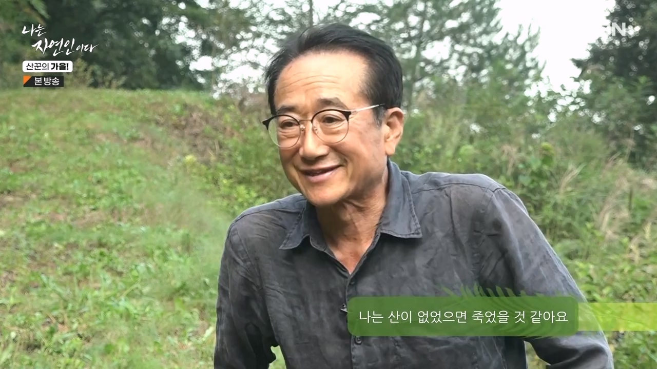 나는 자연인이다.E574.231005p-NEXT.mp4_20231005_200559.403.jpg