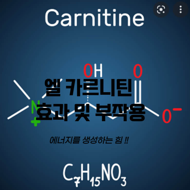 엘 카르니틴 화학식 및 효과 관련 썸네일