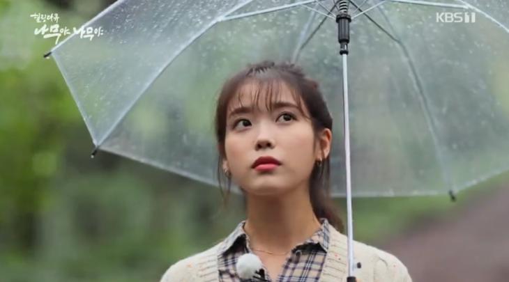  [종합] '나무야나무야' 아이유, 팽나무와 함께한 '따스한 시간' #나무야나무야아이유 #힐링다큐나무야나무야 #나무야나무야이선희 #나무야나무야캠핑장 #나무야나무야휴지 #괴산나무야나무야..