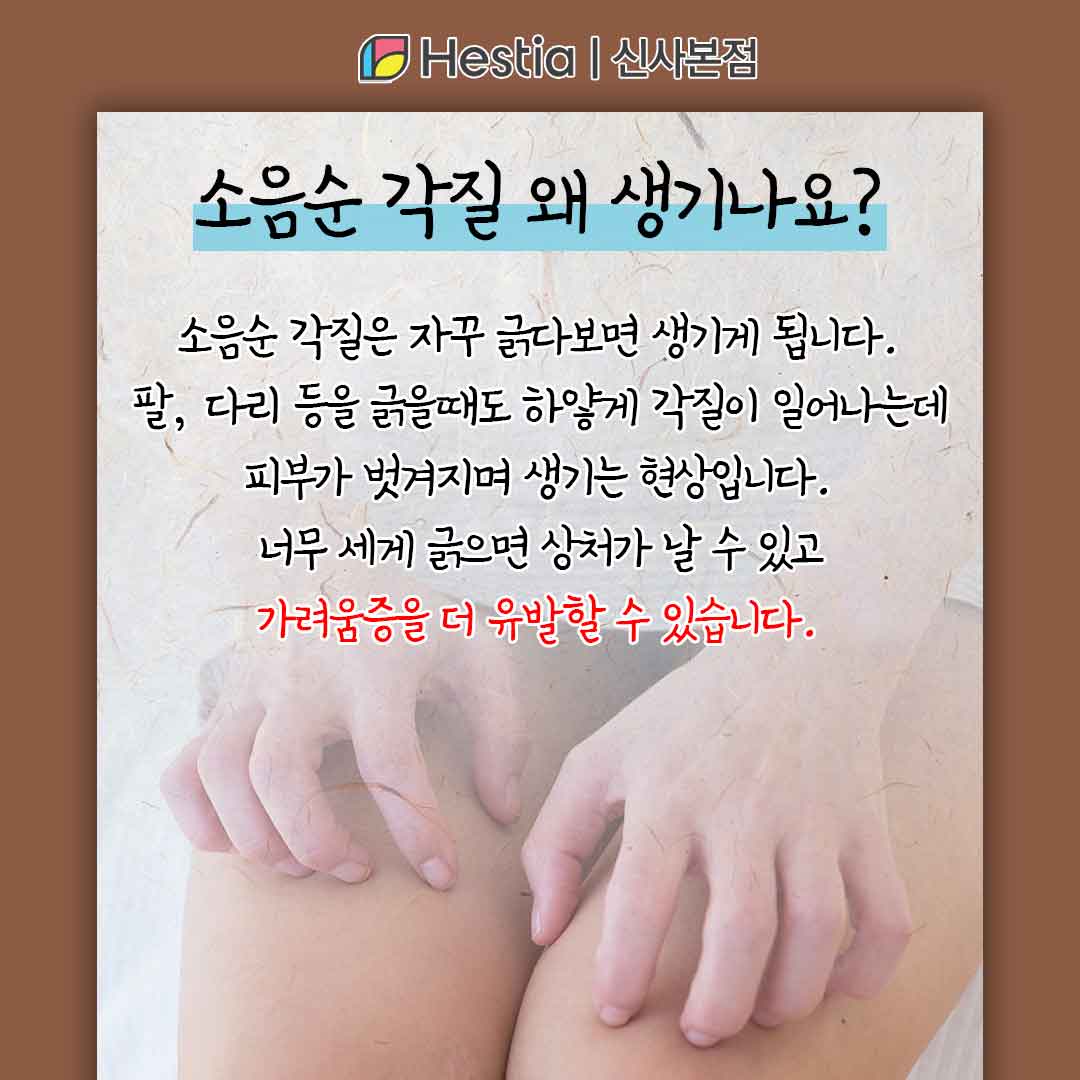 강남소음순성형 만성 단순 태선 소음순 각질 소음순 각질 원인이 뭘까요?