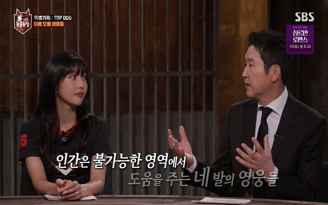 TV 동물농장.E1085.220905p-NEXT.mp4_20220904_173537.368.jpg