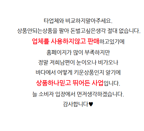 KBS 생생정보 (2025년 2월20일) 고성 가리비 맛집 : 쪼