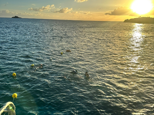 괌 바다 스노클링 포인트