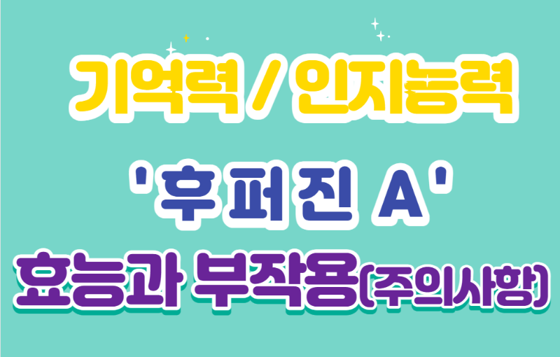 기억력 / 인지 능력 향상 후퍼진 A 효능과 부작용 및 복용 시 주의사항