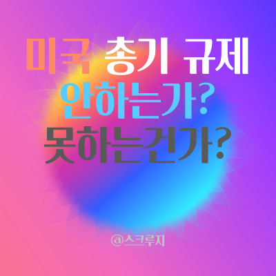  미국 계속되는 총기 사건 사고 ~ 총기를 대하는 미국인의 자세 그리고 정치인