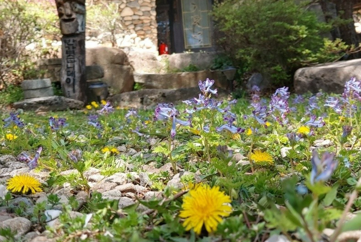남겨서뭐하게 청도 보양한상