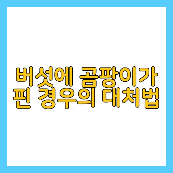 img.webp