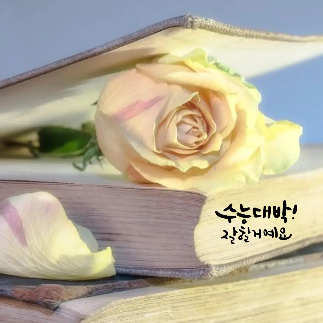 수능 선물 추천 5가지 – 평생 기억에 남을 의미 있는 선물
