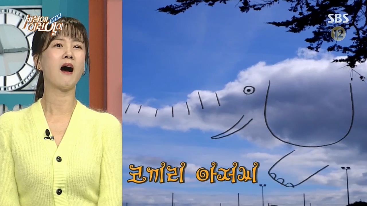 순간포착 세상에 이런일이.E1203.221026p.H264-F1RST.mp4_20221026_185256.344.jpg