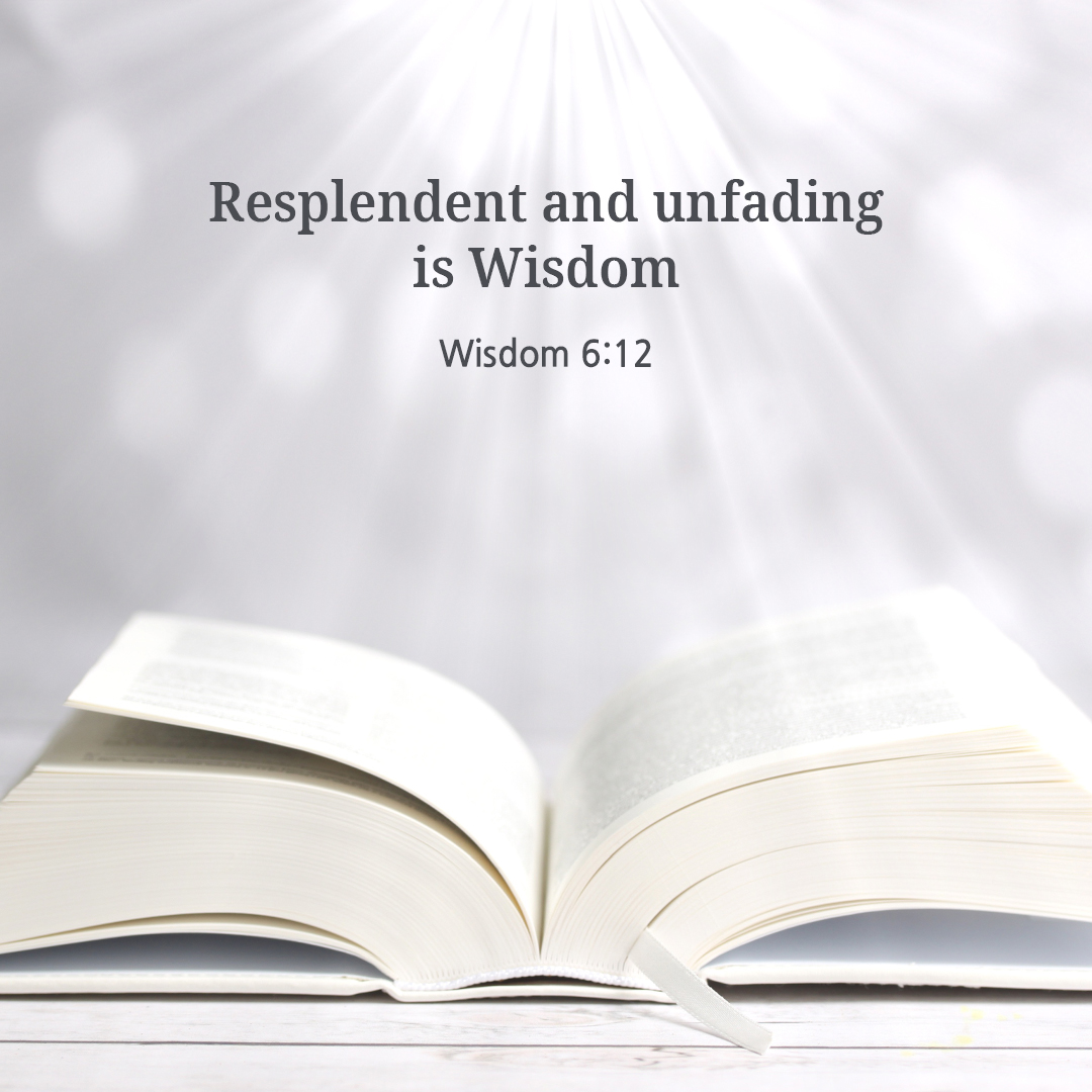 Resplendent and unfading is Wisdom. (Wisdom 6:12)
