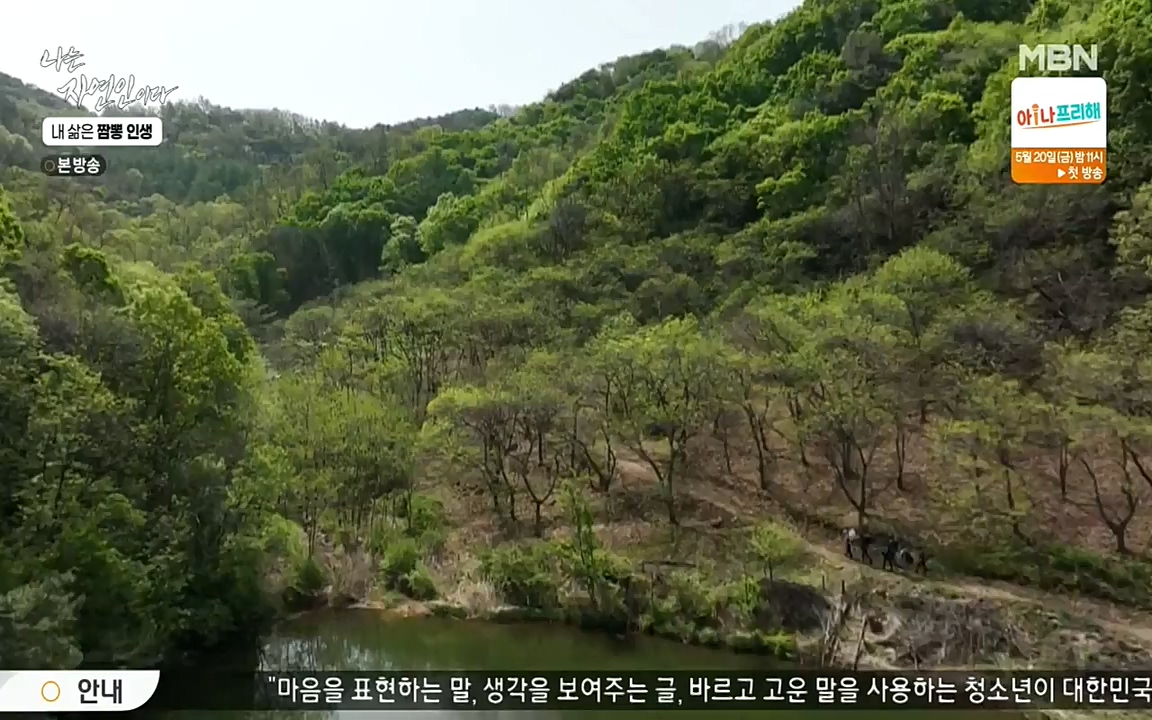 나는 자연인이다.E502.220519p-NEXT.mp4_20220519_182334.516.jpg