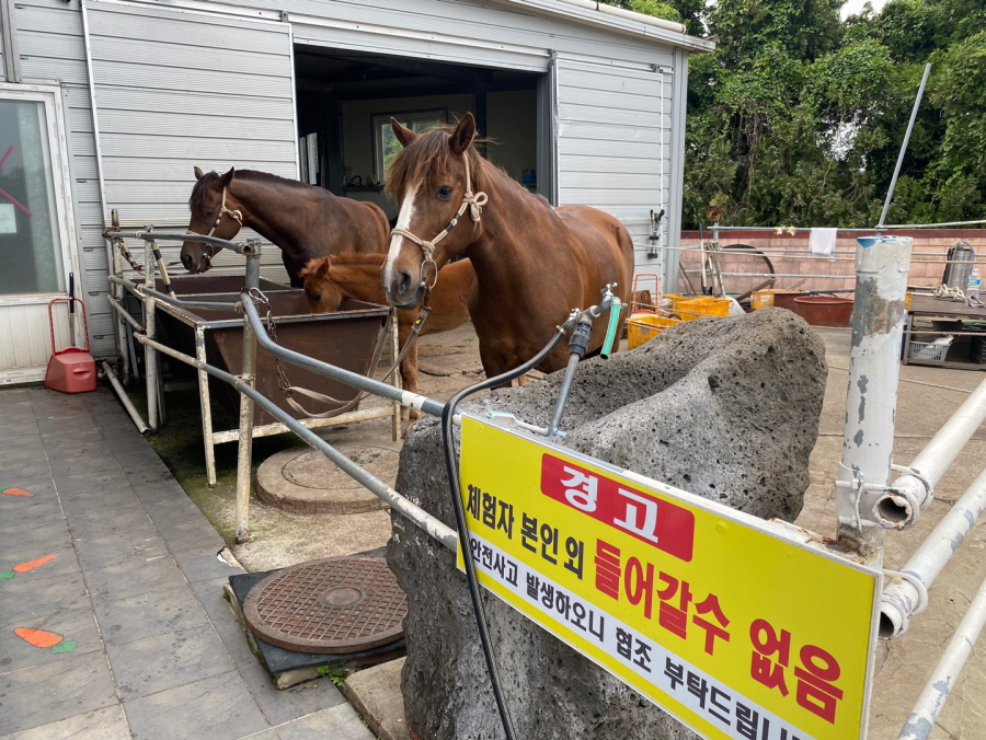 중문승마공원