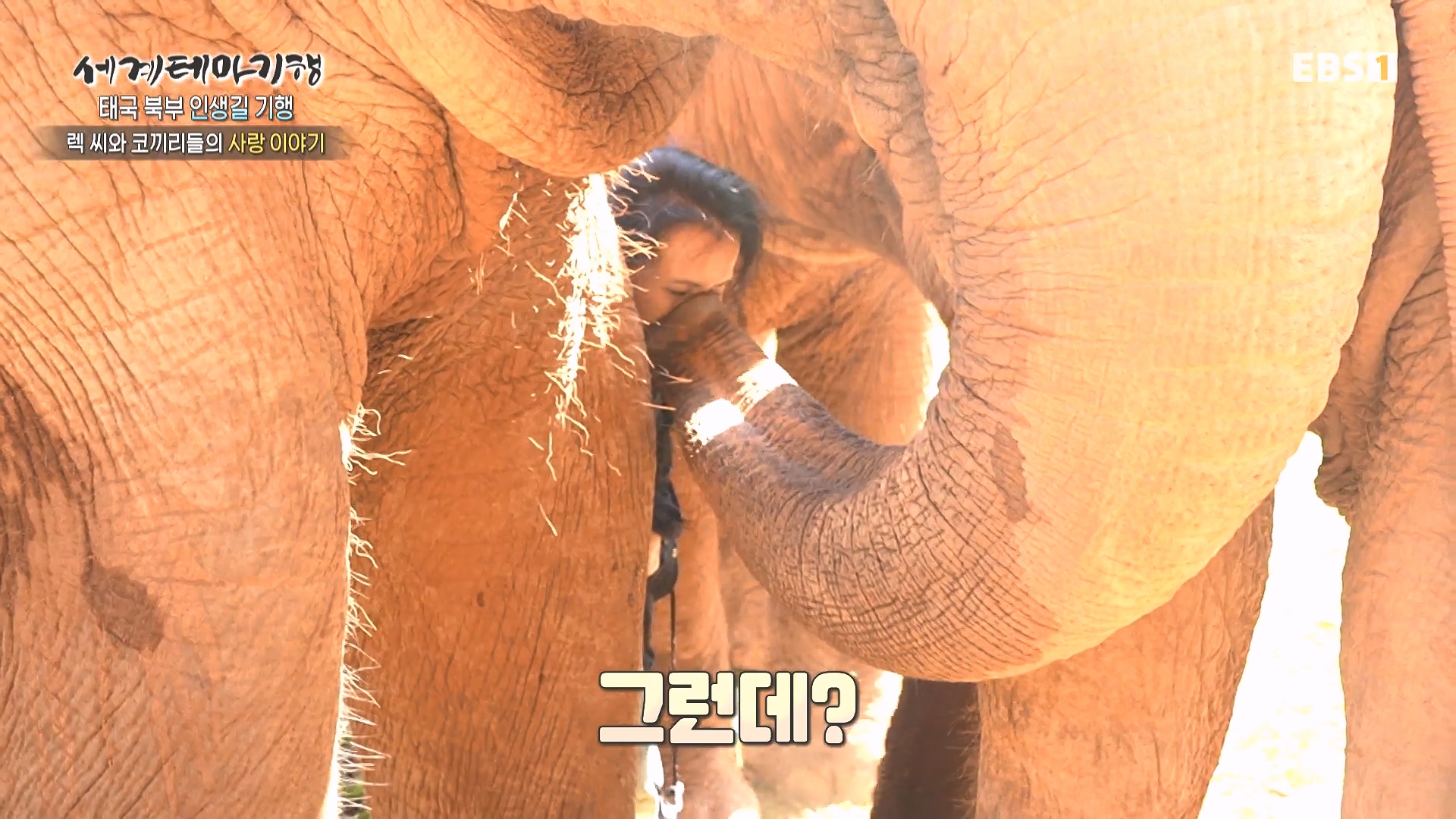 세계테마기행 240220 태국 북부 인생길 기행 -내 인생의 화양연화, 치앙마이0p.mp4_20240803_164151.846.jpg