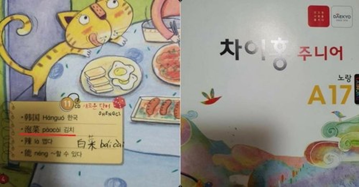  대교 차이홍 주니어 중국어 학습지, 김치 파오차이 표기 논란.