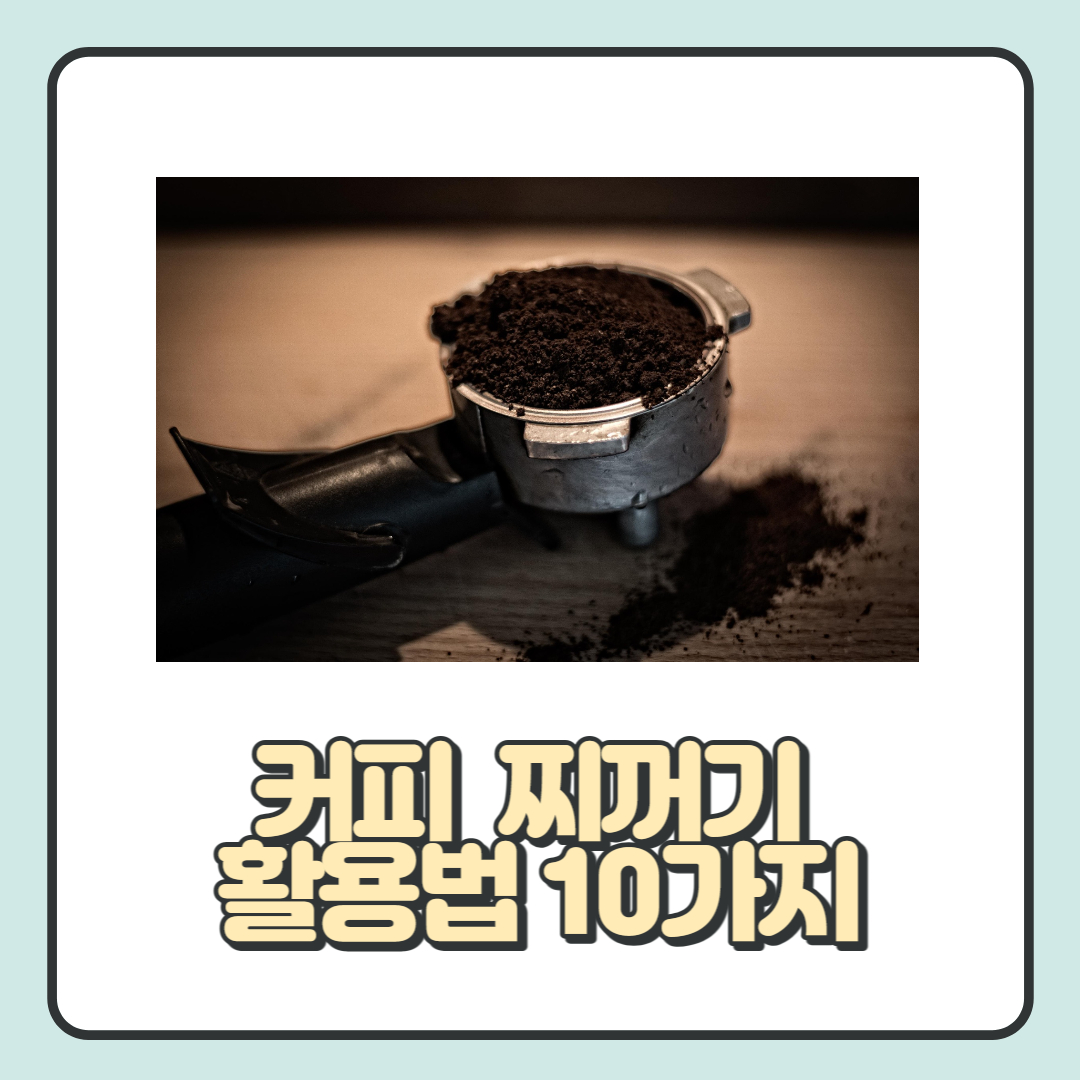  커피 찌꺼기 활용법 10가지: 새로운 가치 창출