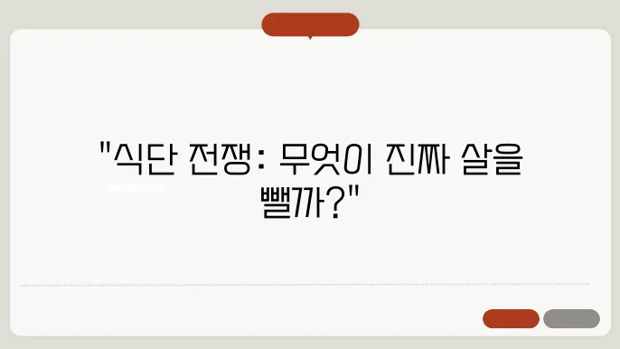 다이어트를 위한 인기 식단 비교