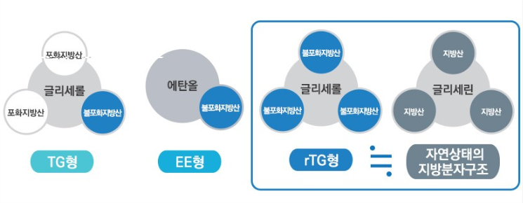 오메가-3 분자식 구조