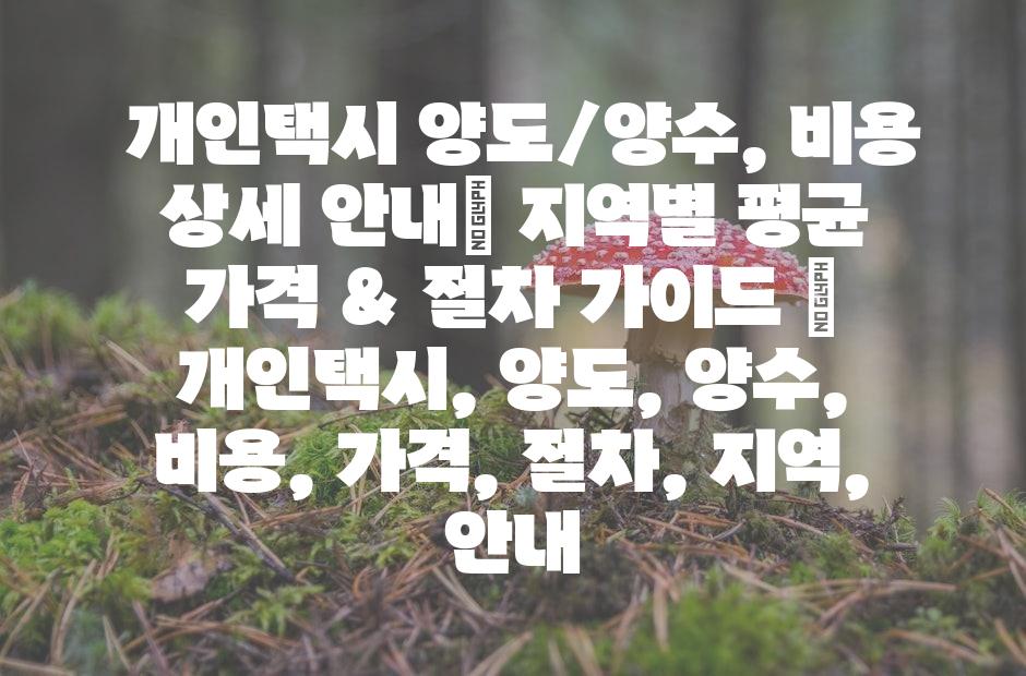 샘플 (42)
