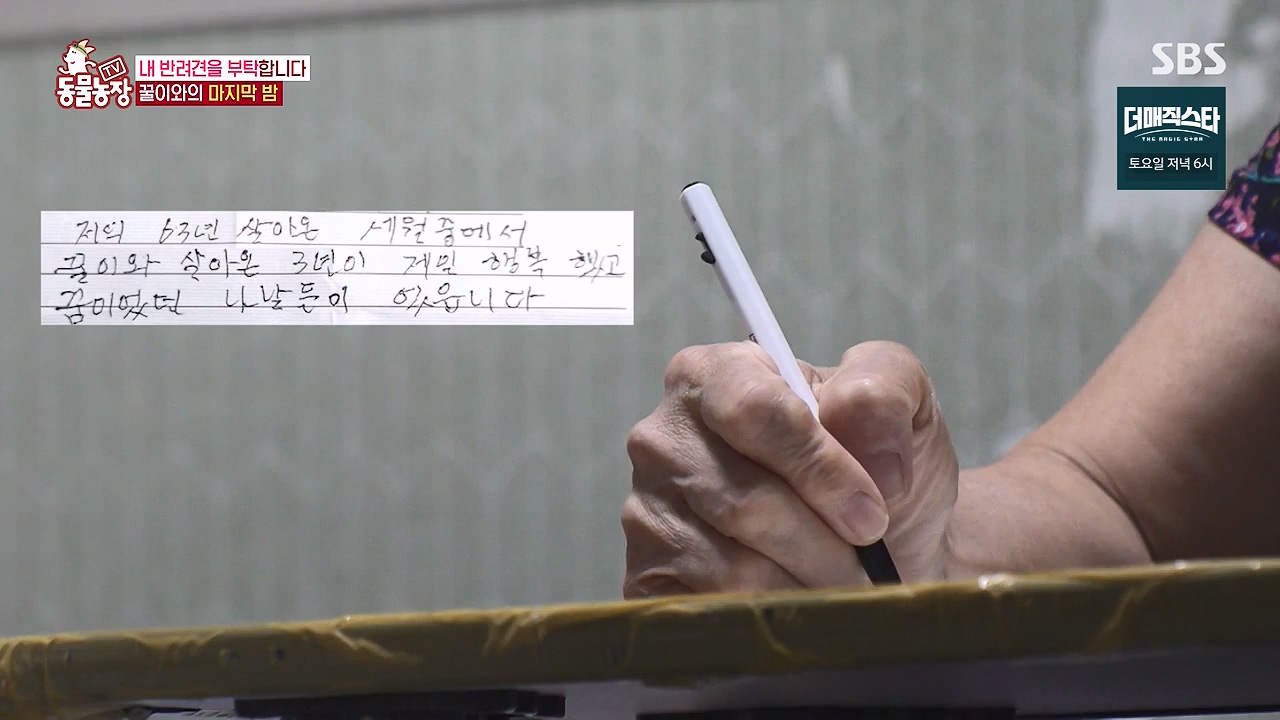 TV 동물농장.E1174.240603p-NEXT.mp4_20240602_155744.929.jpg