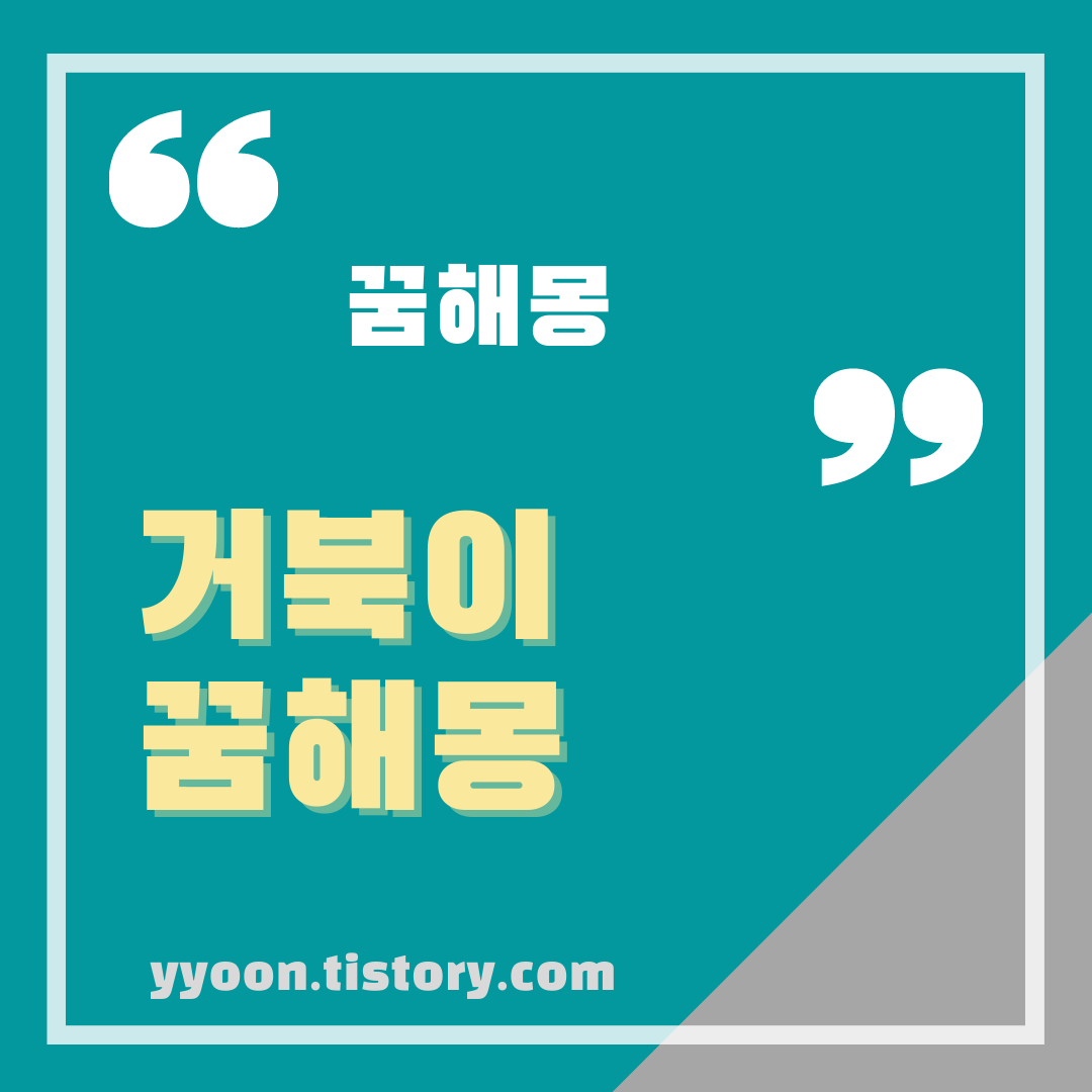  [꿈해몽] 거북이 꿈해몽 총정리 거북이 꿈 태몽
