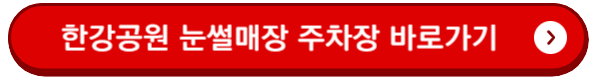 눈썰매장 추천