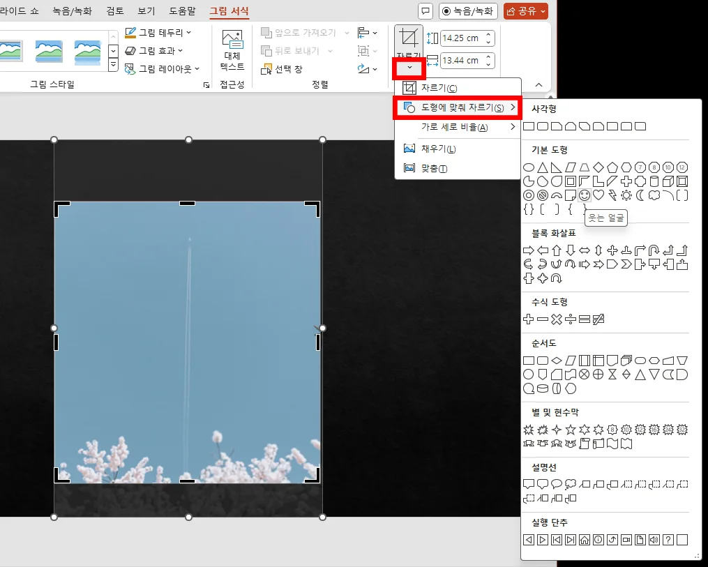 ppt에서 사진을 도형에 맞춰 자르는 모습