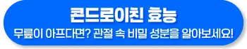 콘드로이친 효능