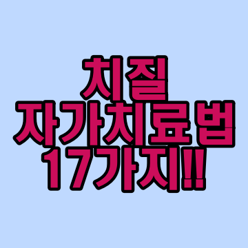  치질 자가치료법 17가지