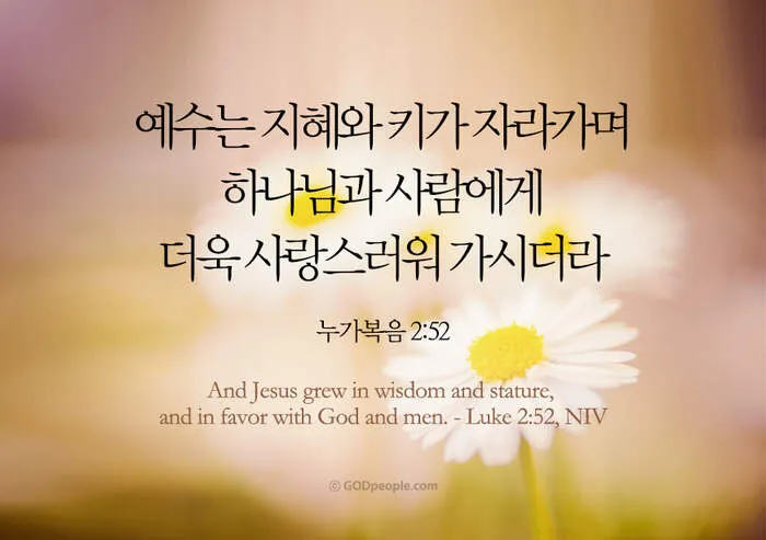 누가복음 2장 읽기 해석 문구_2