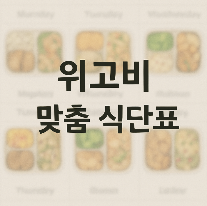 위고비 식단표