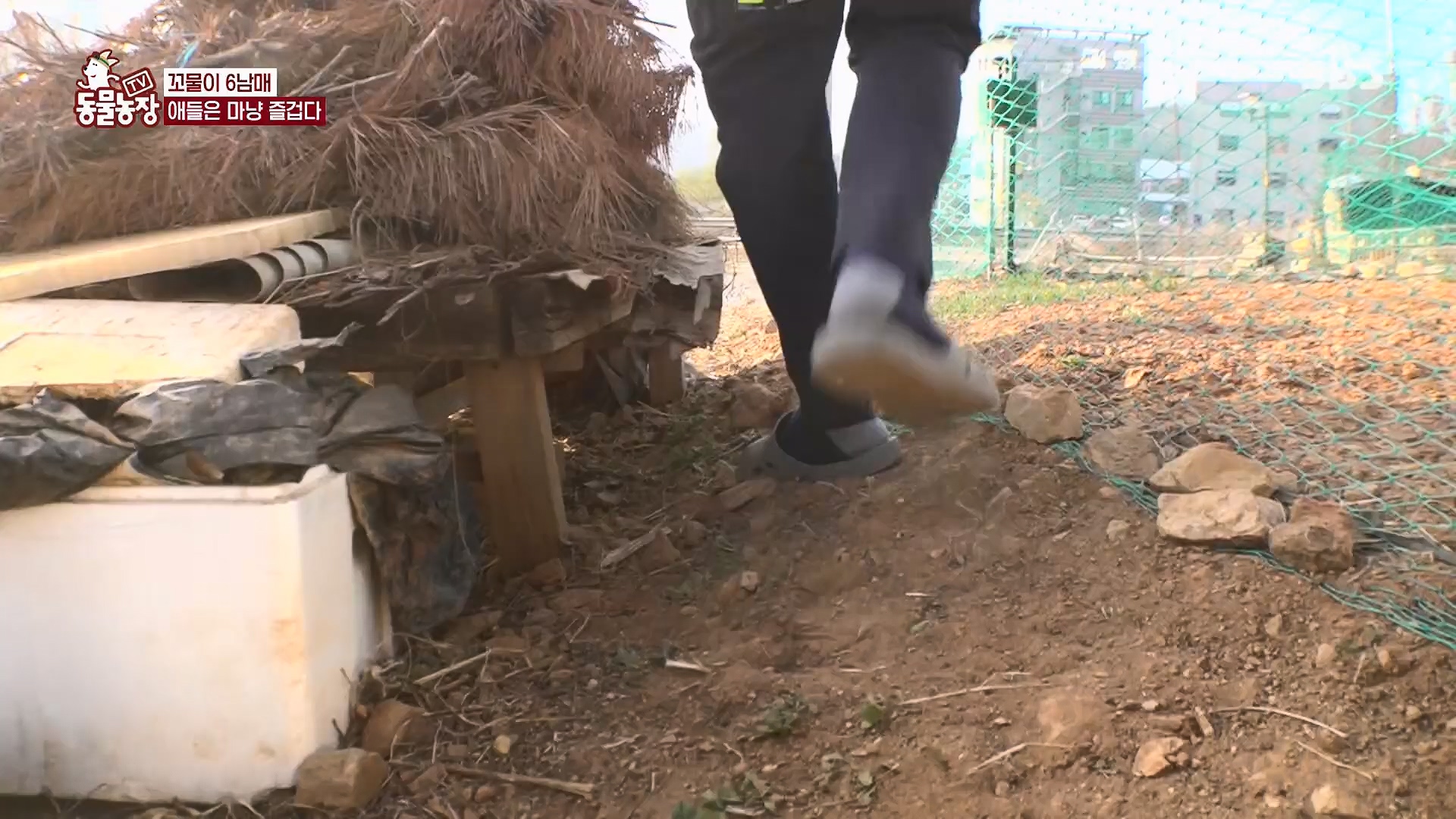 TV 동물농장.E1119.230507p.H264-F1RST.mp4_20230507_135900.659.jpg