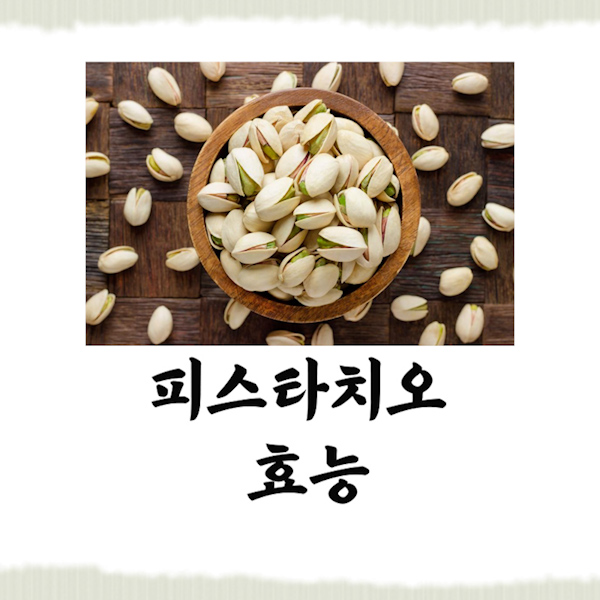  피스타치오 효능 먹는법 부작용 모두 보고가세요