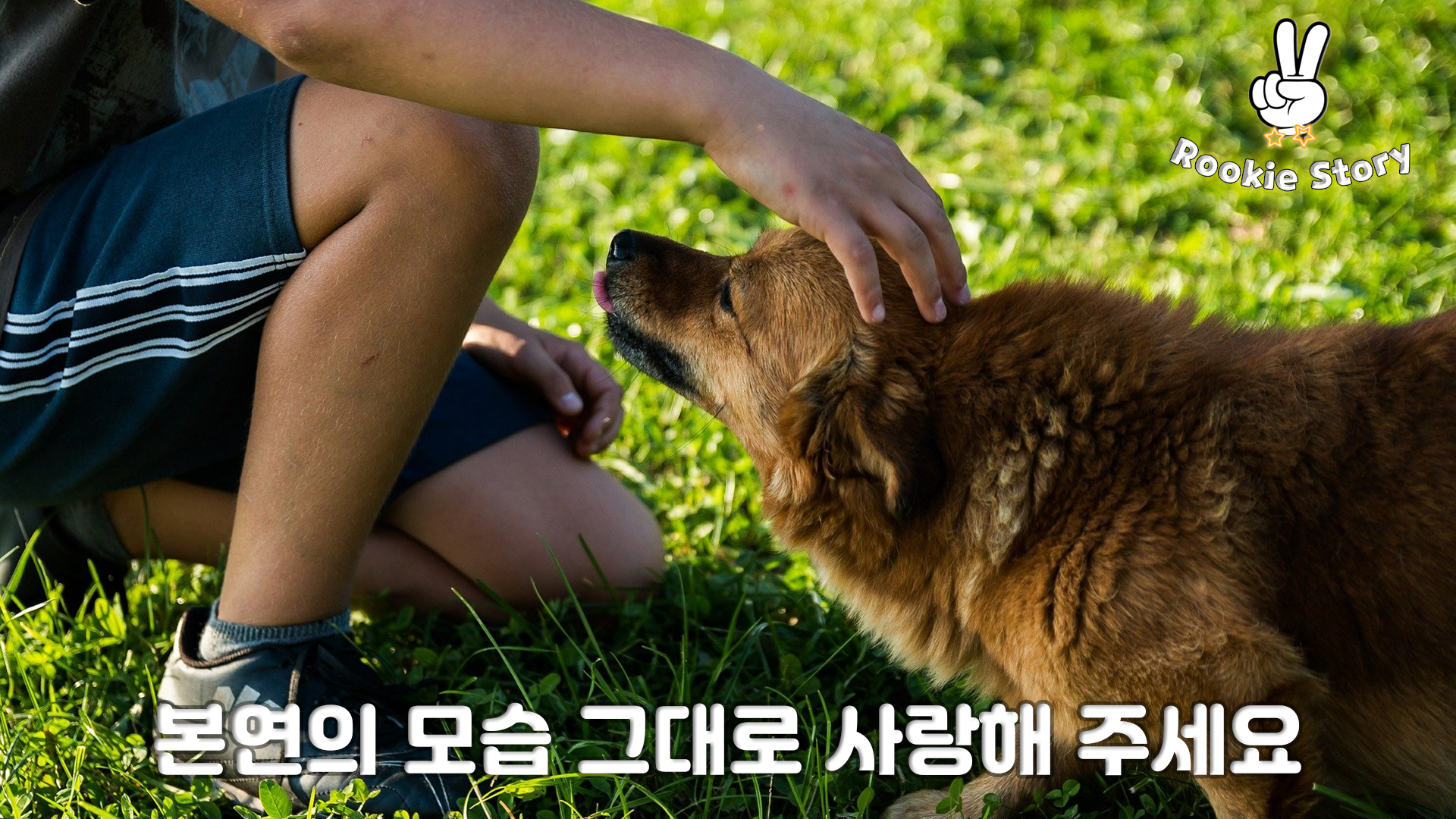  강아지 응급상황 경련, 발작, 호흡곤란 시 대처 방법