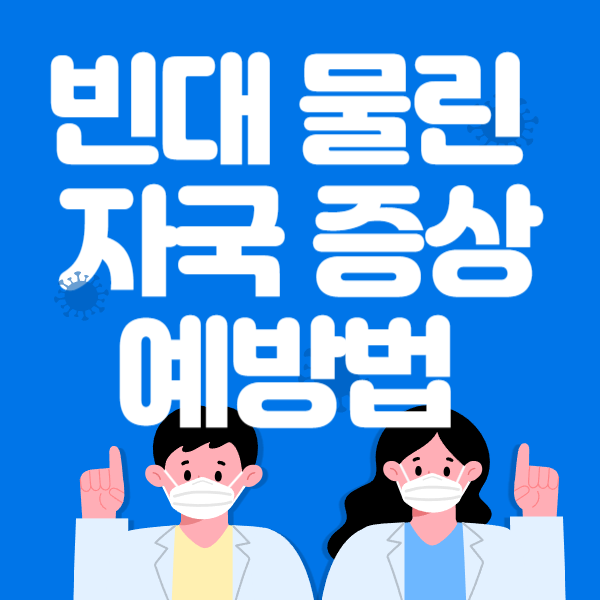  빈대 물린 자국 및 증상 알아보기 / 예방법,퇴치제