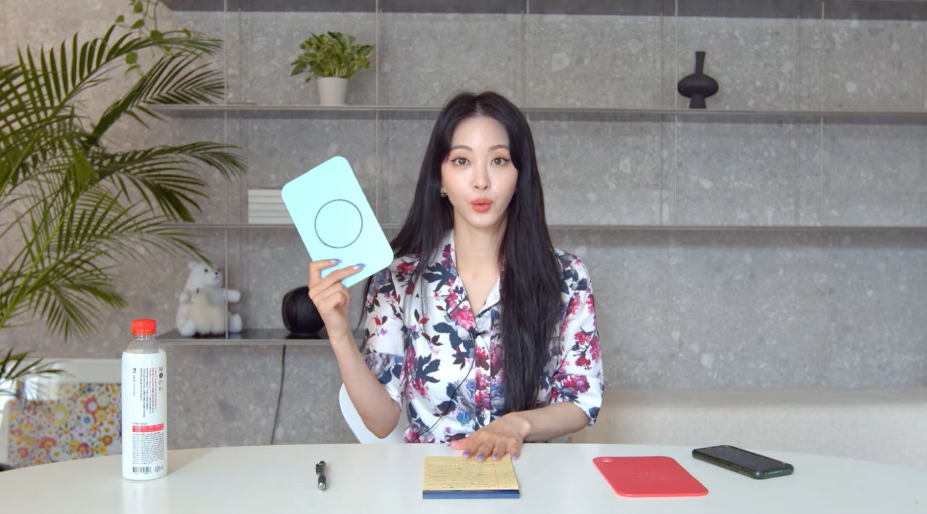  한예슬 유튜브 통해 의혹 해명 영상 남친 루머 버닝썬 마약 여배우 반박 원진 부회장 누구?