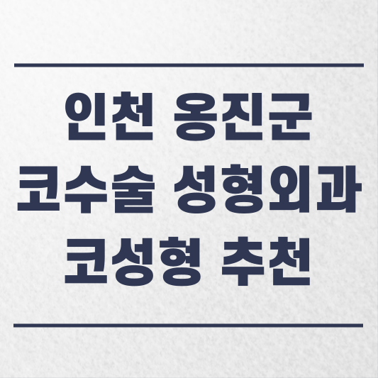 인천 옹진군 코수술 성형외과 추천 코성형 잘하는 곳 가격 비용 금액 후기.png