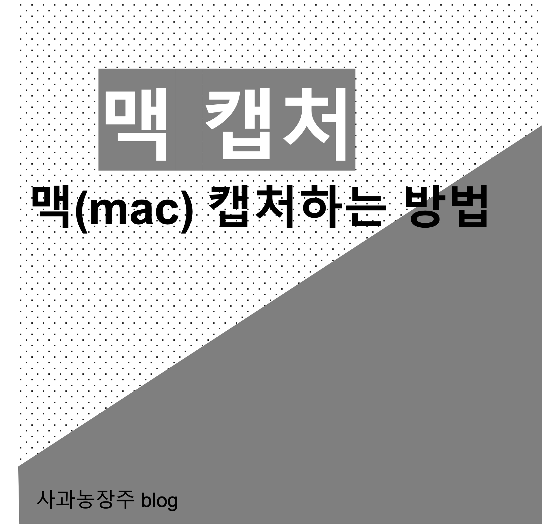 대표이미지