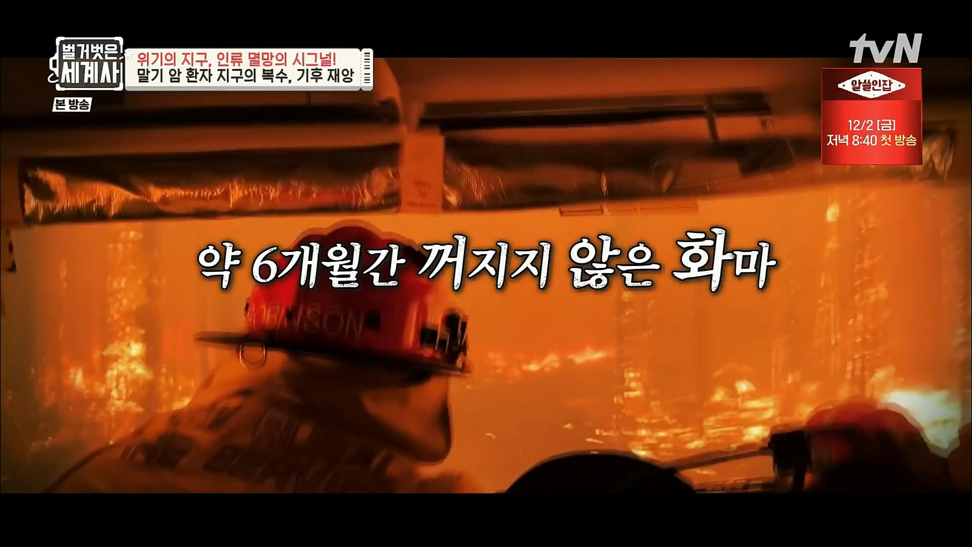 벌거벗은 세계사.E75.221129p.H264-F1RST.mp4_20221211_170912.916.jpg